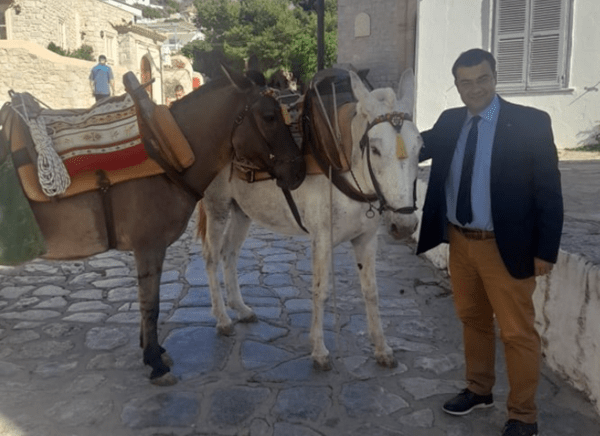 Ο δήμαρχος Ύδρας υπερασπίζεται το φόρτωμα του ζώου με το ψυγείο: «Δεν είναι γαϊδουράκι, αλλά μουλάρι»