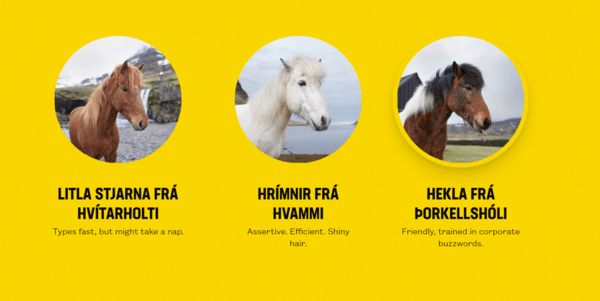 Πάτε διακοπές; Συνδέστε το email σας με άλογα στην Ισλανδία που θα απαντούν με τα πόδια