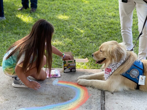 Τέξας: Οχτώ golden retriever προσπαθούν να παρηγορήσουν τους επιζώντες του μακελειού