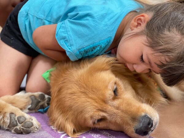 Τέξας: Οχτώ golden retriever προσπαθούν να παρηγορήσουν τους επιζώντες του μακελειού