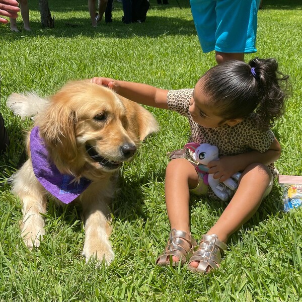 Τέξας: Οχτώ golden retriever προσπαθούν να παρηγορήσουν τους επιζώντες του μακελειού