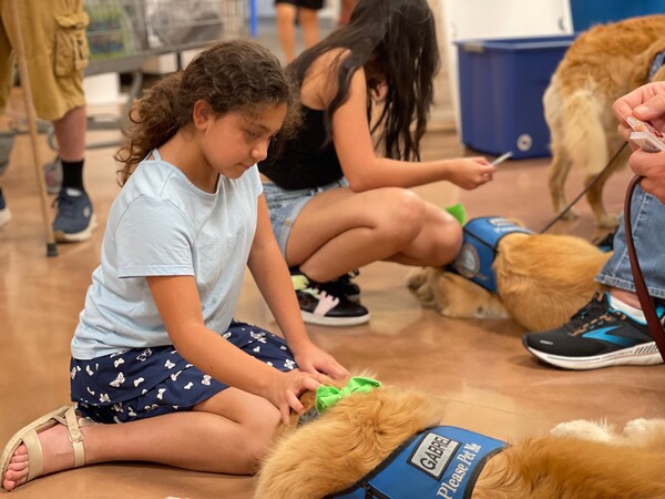 Τέξας: Οχτώ golden retriever προσπαθούν να παρηγορήσουν τους επιζώντες του μακελειού