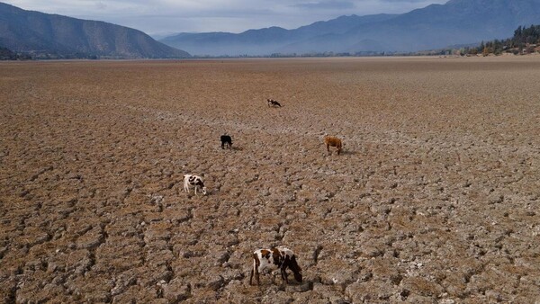 Laguna de Aculeo