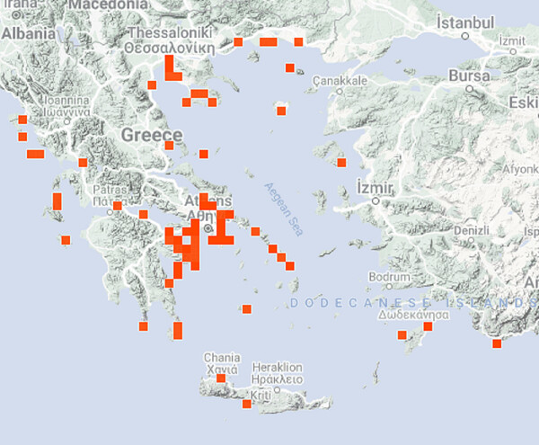 Μωβ μέδουσες: Ο χάρτης με τις παραλίες -Πού χρειάζεται προσοχή στην Αττική