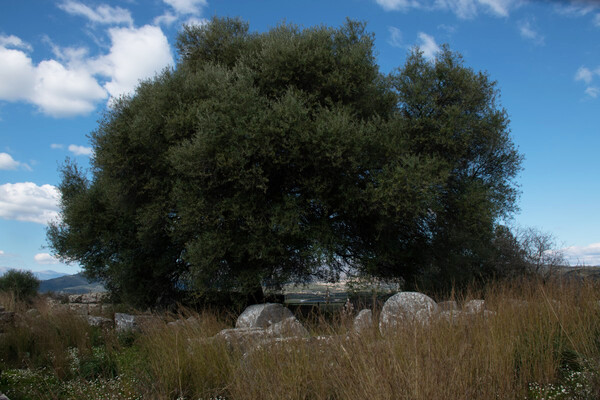 Photopolis Agrinio Photo Festival