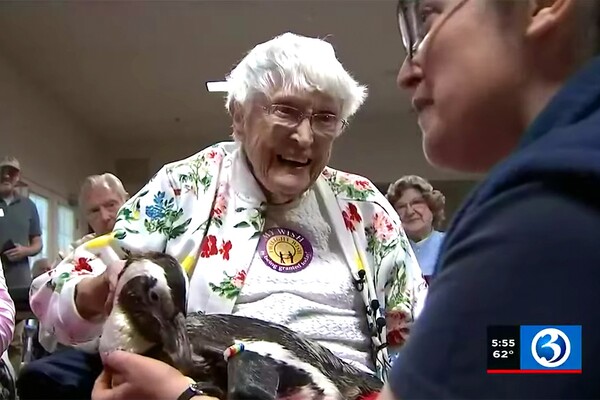 Είχε όνειρο ζωής να χαϊδέψει πιγκουίνο και το έκανε στα 104: «Δεν το περίμενα ποτέ!»