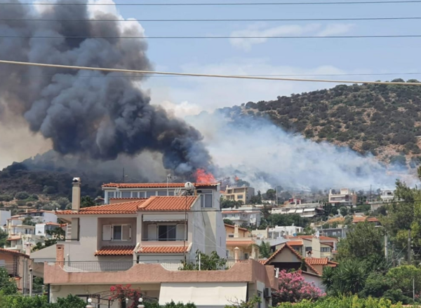 Φωτιά στην Αρτέμιδα - Κοντά σε σπίτια οι φλόγες