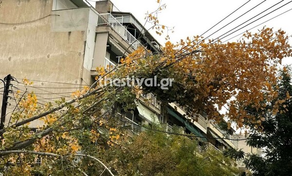 Θεσσαλονίκη: Σοβαρές ζημιές από το ξαφνικό μπουρίνι- Έπεσαν δέντρα σε αυτοκίνητα