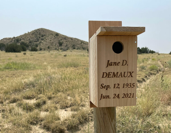 Το «πράσινο νεκροταφείο» στο Κολοράντο επιστρέφει τους νεκρούς στη Φύση