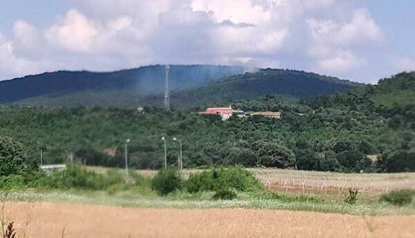 Φωτιά σε πευκοδάσος στο Αετοχώρι Αλεξανδρούπολης