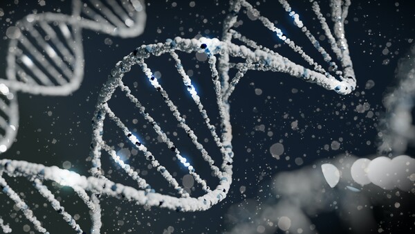 Κορωνοϊός: Βρέθηκαν πάνω από 1.000 γονίδια που αυξάνουν τον κίνδυνο σοβαρής Covid-19