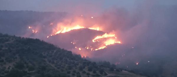 Φωτιά στην Εύβοια: Συνεχίζεται η μάχη της Πυροσβεστικής -