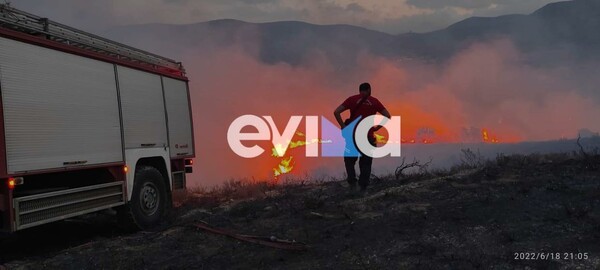 Φωτιά στην Εύβοια: Συνεχίζεται η μάχη της Πυροσβεστικής - 
