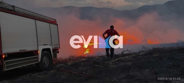 Φωτιά στην Εύβοια: Συνεχίζεται η μάχη της Πυροσβεστικής -