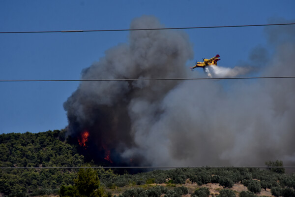 Φωτιά στην Εύβοια: Βελτιωμένη η εικόνα, διάσπαρτες οι εστίες - Σηκώθηκαν πάλι τα εναέρια μέσα