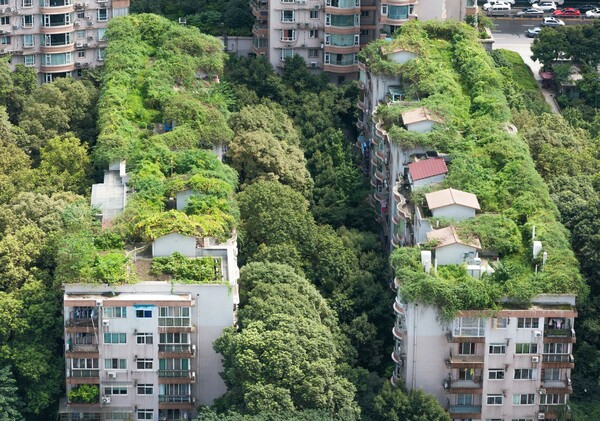 Κήποι και αστικό πράσινο: Πρόκληση και προνόμιο για τους κατοίκους των πόλεων