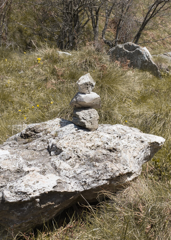 Η ελληνική επαρχία της Σώτης Τυρολόγου και του Τάσου Ζωίδη