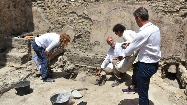 Πομπηία: Αρχαία έγκυος χελώνα εξέπληξε τους αρχαιολόγους