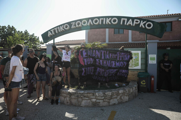 «Δεν ήταν εξόντωση, ήταν δολοφονία»; Διαμαρτυρία στο Αττικό Ζωολογικό Πάρκο, για τη θανάτωση του χιμπατζή