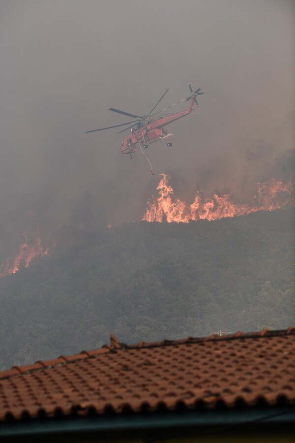 Φωτιά στην Αχαϊα: Απειλεί 3 κοινότητες στην Ηλεία- 195 πυροσβέστες στο σημείο, εκκενώνονται οικισμοί