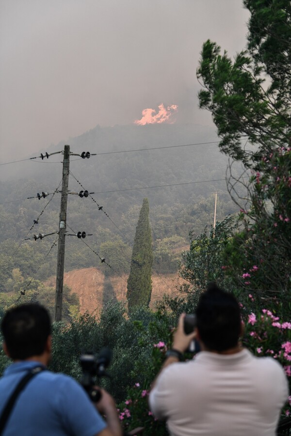 Φωτιά στην Αχαϊα: Απειλεί 3 κοινότητες στην Ηλεία- 195 πυροσβέστες στο σημείο, εκκενώνονται οικισμοί