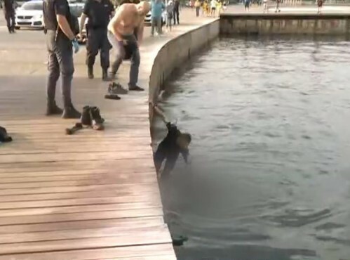 Επεισοδιακή σύλληψη άνδρα στη Θεσσαλονίκη - Έπεσε στον Θερμαϊκό με χειροπέδες φωνάζοντας «αφήστε με να πεθάνω»