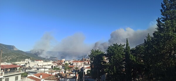 Ανεξέλεγκτη η φωτιά στην Άμφισσα- Καίει σε τρία σημεία, ενισχύονται οι δυνάμεις