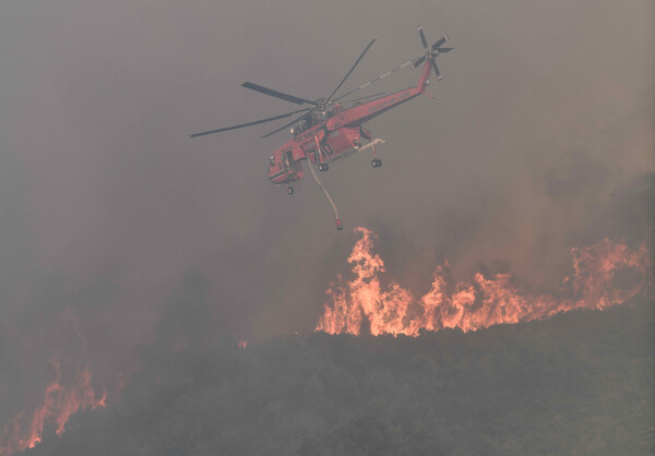 Φωτιά στην Ηλεία: Ολονύχτια μάχη με τις φλόγες, εκκενώθηκαν 4 χωριά- Επιχειρούν 195 πυροσβέστες