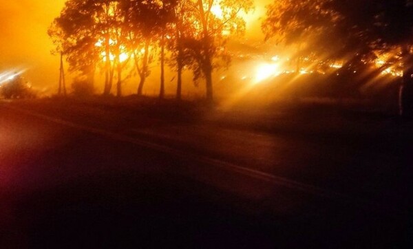 Φωτιά στη Φωκίδα: Κοντά στην πόλη τη Ιτέας οι φλόγες- «Η κατάσταση είναι πολύ δύσκολη»