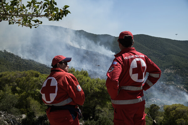 Σε πύρινο κλοιό η χώρα: Πολύ δύσκολη κατάσταση στο Πόρτο Γερμενό - Νέα μέτωπα σε Κόρινθο και Αχαΐα 