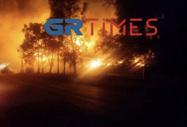 Νύχτα «κόλαση»: Ανεξέλεγκτη η φωτιά στην Ιτέα – Ισχυρά μέτωπα σε Κρανίδι και Άγιο Όρος