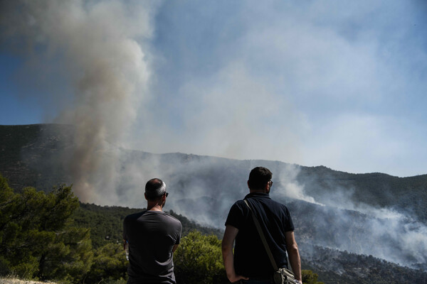 Πυροσβεστική: 65 δασικές πυρκαγιές το τελευταίο 24ωρο- Η κατάσταση στα πύρινα μέτωπα