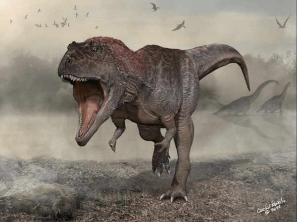 Ένας γιγάντιος δεινόσαυρος ανακαλύφθηκε στην Αργεντινή - Άγνωστο είδος