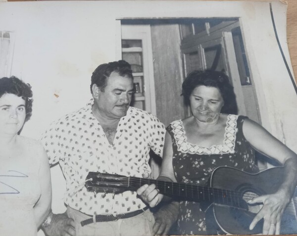 Ευκάλυπτος