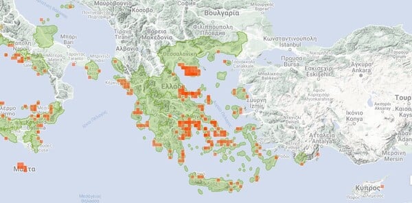 Μωβ μέδουσες: Αναλυτικός χάρτης με τις παραλίες που εντοπίζονται