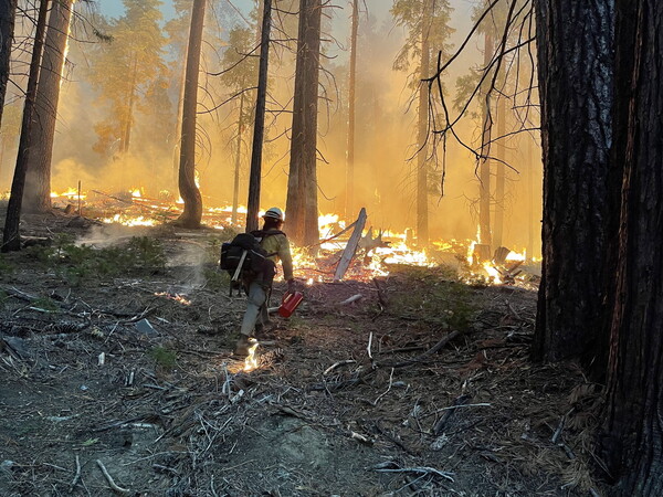 Καλύτερη η εικόνα της φωτιάς στο Yosemite που απειλεί υπεραιωνόβιες σεκόγιες - Αλλά ο καιρός δεν βοηθά