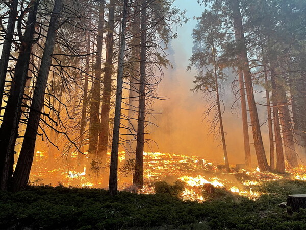 Καλύτερη η εικόνα της φωτιάς στο Yosemite που απειλεί υπεραιωνόβιες σεκόγιες - Αλλά ο καιρός δεν βοηθά