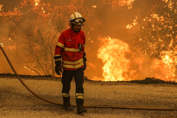 Καίγονται Πορτογαλία, Ισπανία, Γαλλία εν μέσω ακραίου καύσωνα- Στάχτες χιλιάδες στρέμματα δάσους