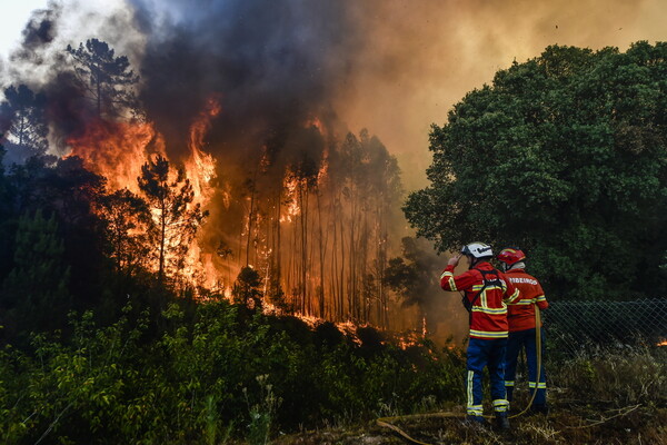 Καίγονται Πορτογαλία, Ισπανία, Γαλλία εν μέσω ακραίου καύσωνα- Στάχτες χιλιάδες στρέμματα δάσους