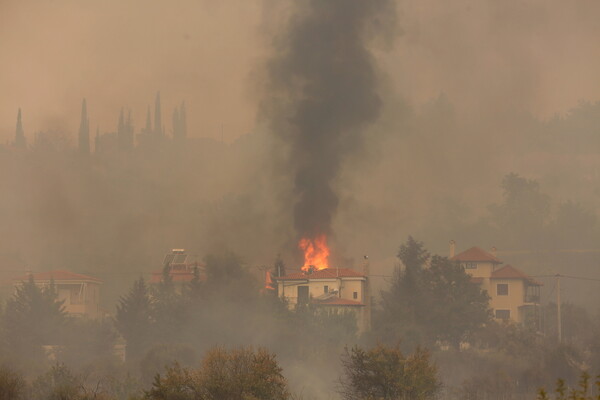 France braces for record temperatures as wildfires rage across Europe