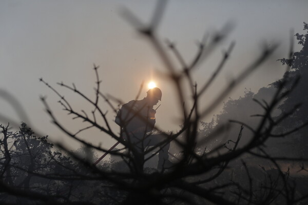 France braces for record temperatures as wildfires rage across Europe