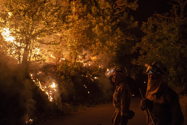 Στο «έλεος» του καύσωνα η Ευρώπη: Πάνω από 1.000 νεκροί σε Ισπανία & Πορτογαλία - Μαίνονται οι φωτιές