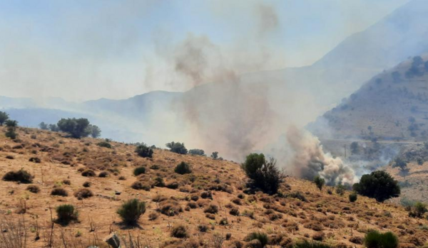 Φωτιές στο Ρέθυμνο: Για «οργανωμένο σχέδιο» μιλά ο δήμαρχος Αγίου Βασιλείου