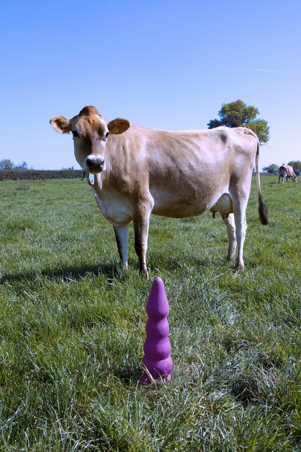 Φοιτητής σχεδίασε sex toys για αγελάδες ώστε να κάνει τις γεωργικές πρακτικές πιο ευχάριστες