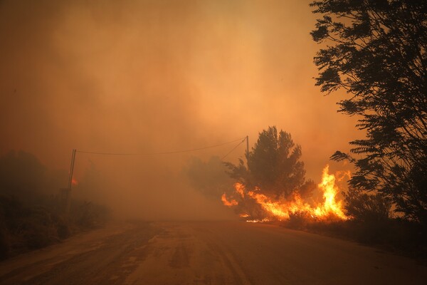 Φωτιά στα Μέγαρα: Μήνυμα του 112 για εκκένωση του χωριού Παπαγιαννέικα