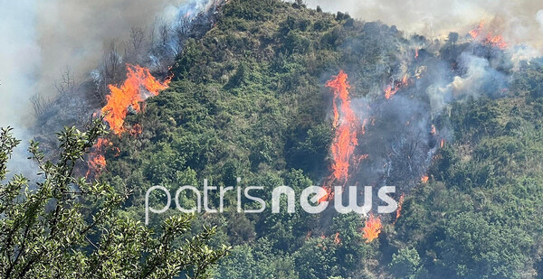 Φωτιά στην Ηλεία: Παίρνει διαστάσεις η φωτιά -Συναγερμός για νέο πύρινο μέτωπο