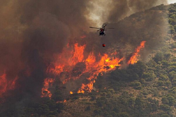Φωτιά στον Έβρο: Καίει ανεξέλεγκτη το Δάσος Δαδιάς- «Ο άνεμος αλλάζει συνεχώς φορά»