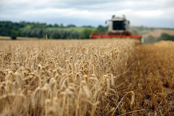 Η Ε.Ε. ζητά «ταχεία εφαρμογή» της συμφωνίας για τα σιτηρά - «Βήμα προς τη σωστή κατεύθυνση»