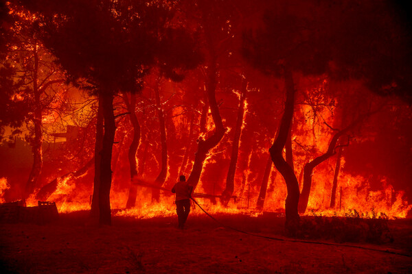 Συνεχίζεται η μάχη με τις φλόγες στη Δαδιά Έβρου – Μέσα στον οικισμό η φωτιά στα Βατερά Λέσβου