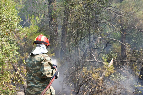 Συνεχίζεται η μάχη με τις φλόγες στη Δαδιά Έβρου – Μέσα στον οικισμό η φωτιά στα Βατερά Λέσβου